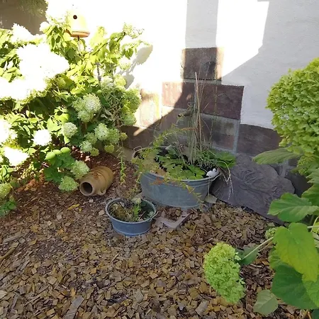 Apartament Sorgenfrei Bad Krozingen