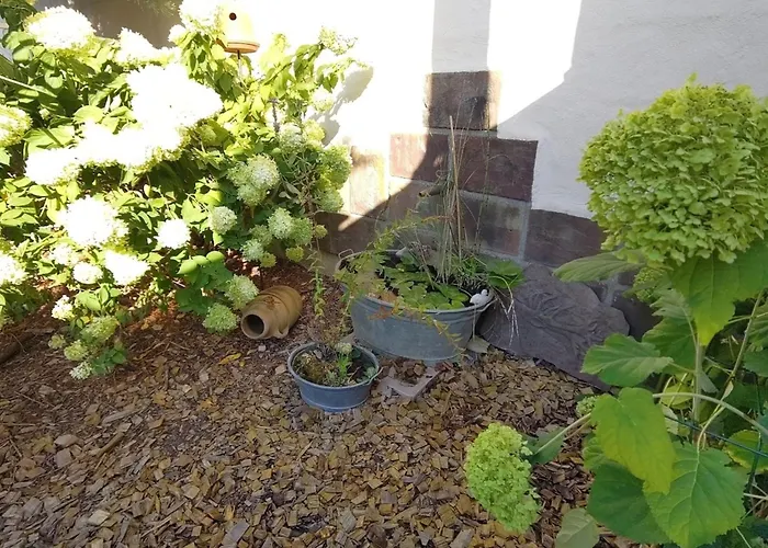 Appartement Sorgenfrei Bad Krozingen